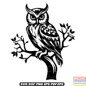 Uil op tak vogel Wildlife natuur nachtdier neergestreken boom nachtelijke bos Habitat instandhouding SVG DXF PNG-bestand knippen