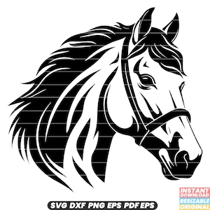 Cheval équin mammifère étalon jument sabots crinière galop bride selle équitation DXF SVG PNG fichier coupe téléchargement numérique
