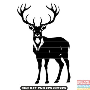 Cerf, faune, animal, bois, nature, forêt, mammifères, conservation, DXF, SVG, PNG, couper, fichier, téléchargement immédiat, numérique