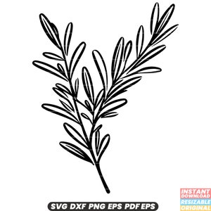 Rosmarino Erba aromatica Ingrediente da cucina Condimento culinario Profumato Fresco Mediterraneo Saporito Erbaceo SVG DXF PNG File di taglio