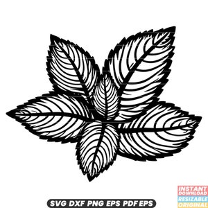 Menta SVG Erba Foglia Pianta Aromatico Sapore culinario Ingrediente fresco Giardino DXF PNG File di taglio n. 1