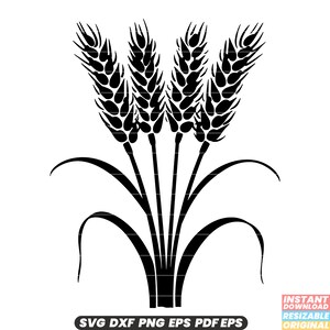 Grano SVG Grano Illustrazione Cereali Raccolto Fienile Silo Pane Clipart Raccolta Pianta Grafica Agricoltura Design DXF PNG File di taglio #4
