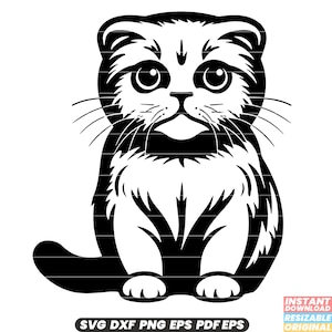 Razza di gatto Scottish Fold Felino Animale domestico da compagnia Animale Orecchie piegate Carino Adorabile Giocoso Affettuoso Razza unica SVG DXF PNG File di taglio