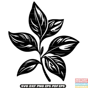 Basilicumkruid aromatische kookplant culinair ingrediënt bladgroen SVG DXF PNG-bestand knippen digitale Instant Download