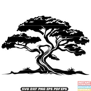 Ginepro Albero Conifera Sempreverde Natura Botanico Pino Foresta SVG DXF PNG File di taglio Download istantaneo digitale