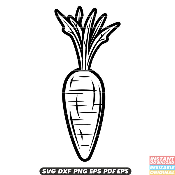 Carrot Vegetable Root Orange Healthy Nutrition Crunchy Garden Farming Vitamin A Fiber SVG DXF PNG Cut File Digital Instant Download