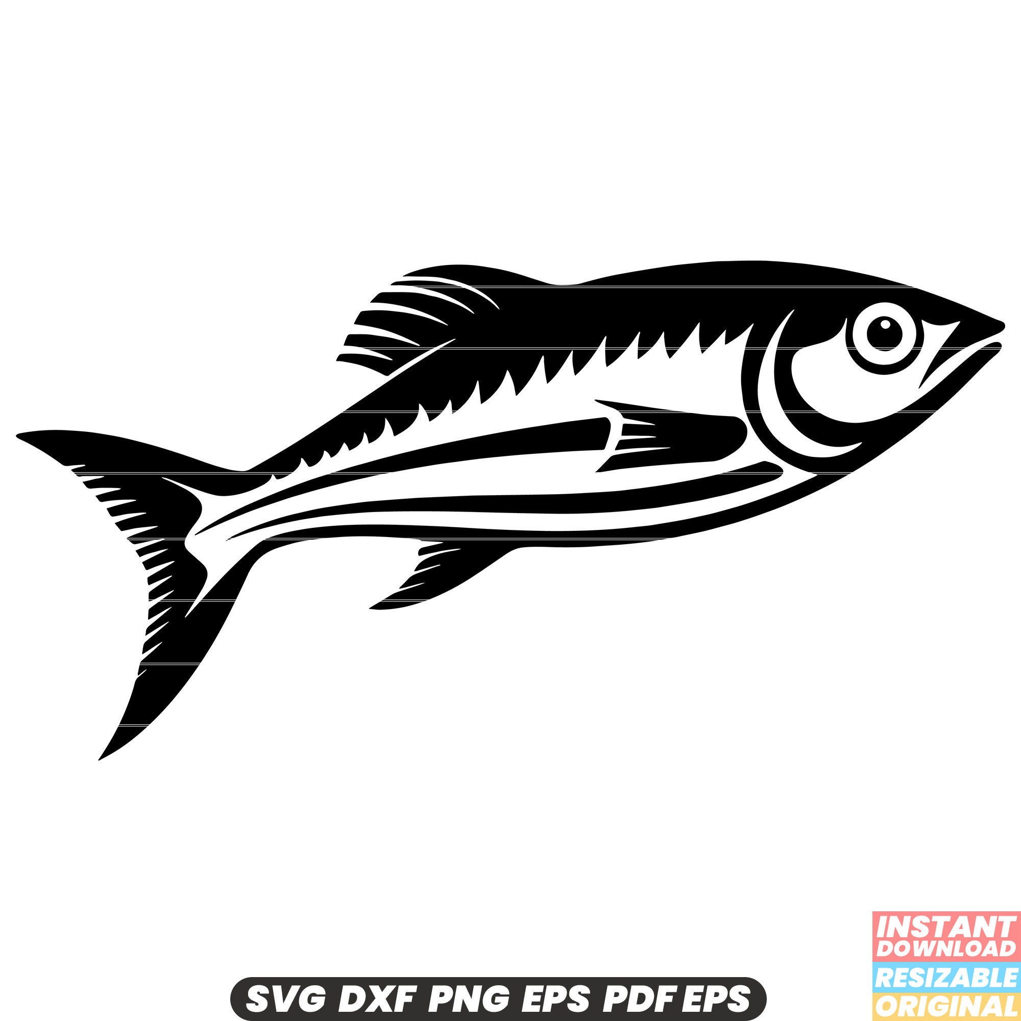 Pilchard SVG, Pilchard DXF, Pilchard PNG Digital Designs Instant