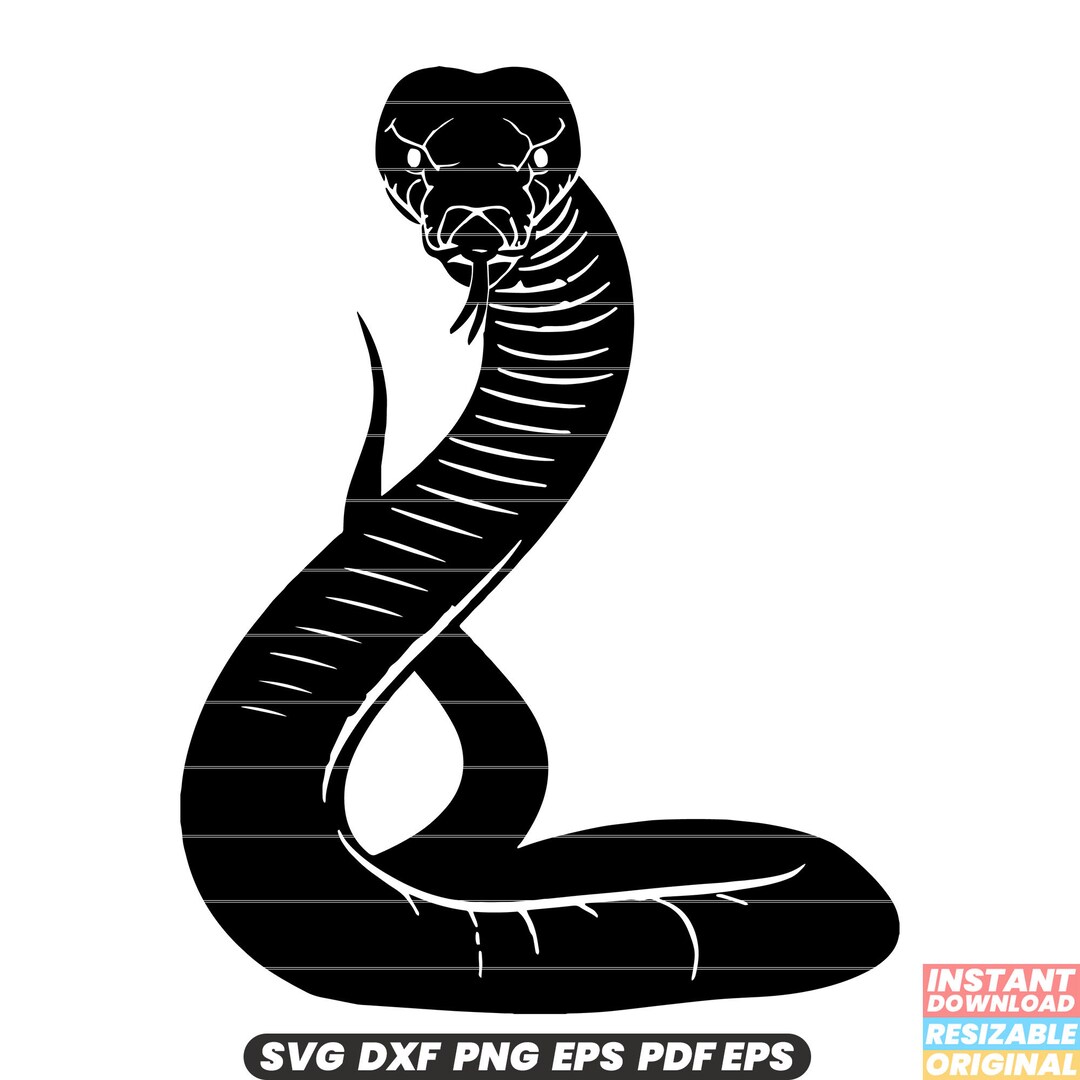 Snake Svg File Snake SVG Reptile Illustration Snake Clipart Serpent Graphic Wildlife ...