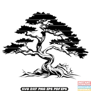 Albero di ginepro sempreverde conifere aromatiche legname flora natura SVG DXF PNG file di taglio download istantaneo digitale
