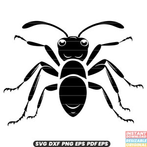 Ameise Insekt Wildkolonie winzige Arbeiter Natur Makro Pest SVG DXF PNG Schnitt Datei Digital Sofort Download