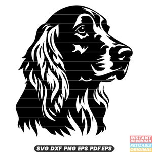 Irish Red Setter SVG Hunderasse Haustier athletisch Energetischer sportlicher Begleiter DXF PNG Schnittdatei