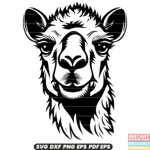 Cammello Deserto Mammifero Dromedario Battriano Animale Arabia Trasporto SVG DXF PNG File di taglio Download istantaneo digitale