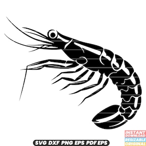 Prawn Shrimp Crustacean Seafood Marine Ocean Animal SVG DXF PNG Cut File Digital Instant Download