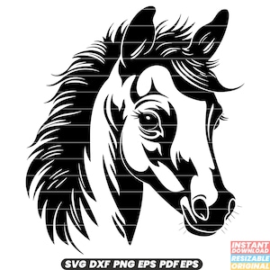 Poulain jeune cheval poulain pouliche équin Animal mammifère Nature SVG DXF PNG coupe fichier téléchargement instantané numérique #4