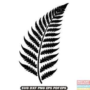 Fougère plante jardin botanique feuille feuillage verdure Nature forêt forêt tropicale humide botanique florale DXF SVG fichier PNG