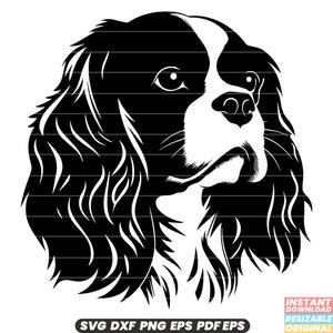 Cavalier King Charles Spaniel race de chien Canidé animal de compagnie animal de compagnie tour chien élégant jouet épagneul gracieux mignon adorable fichier PNG DXF SVG coupe