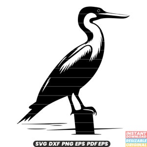 Cormorano Uccello Uccelli acquatici Tuffarsi Piume Fauna acquatica Natura Pesca costiera Piumaggio SVG DXF PNG File di taglio Download istantaneo digitale