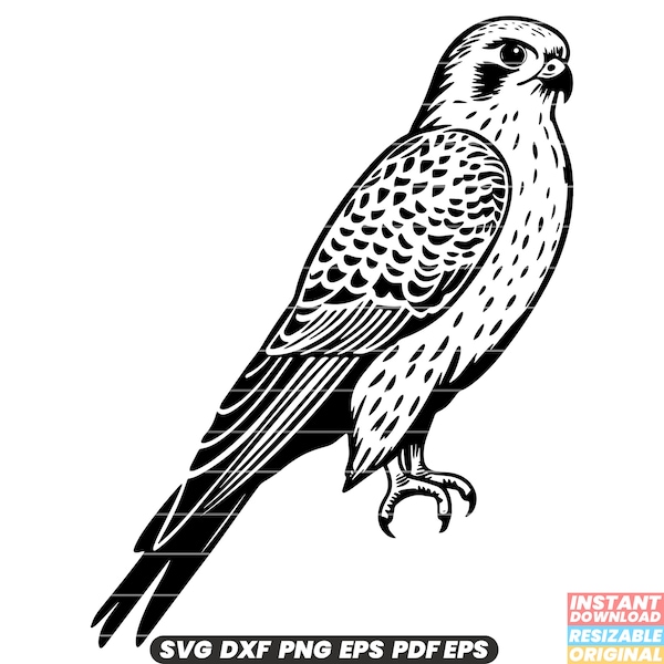 Kestrel Bird of Prey Falcon Raptor Wildlife Nature Feathers SVG DXF PNG Cut File Digital Instant Download