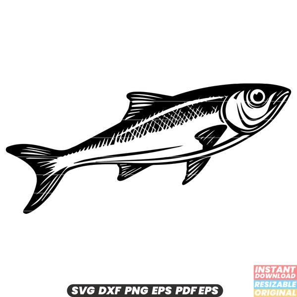 Anchovy Fish Seafood Small Saltwater Marine Cuisine Ingredient Delicacy Cooking SVG DXF PNG Cut File Digital Instant Download