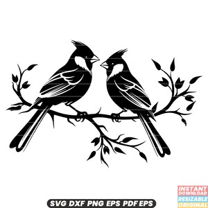 Deux oiseaux cardinaux sur une branche en fleurs, la faune, la nature, les oiseaux, les oiseaux, les oiseaux, les oiseaux, les oiseaux et les oiseaux
