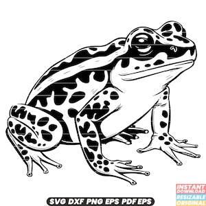 Toad Amphibian Frog-like Warty Skin Croak Amphibious Wildlife Nature SVG DXF PNG Cut File Digital Instant Download