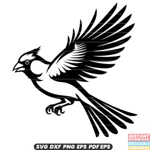 Kardinaal vogel vliegen Wildlife dier natuur aviaire gevederde rode vogel mooie sierlijke stijgende lucht SVG DXF PNG-bestand knippen