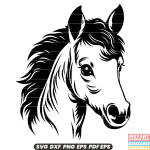 Poulain jeune cheval poulain pouliche équin Animal mammifère Nature SVG DXF PNG coupe fichier téléchargement numérique instantané #3