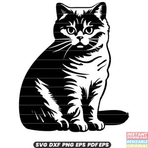 Brits korthaar kat SVG, DXF, PNG, katachtig ras gesneden bestand, schattige Kitty clipart, kattenliefhebber illustratie, Instant Download