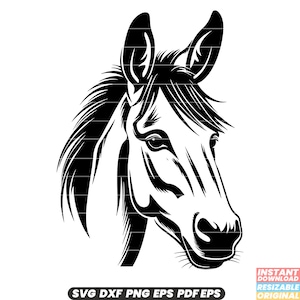 Muildierpaarden hybride ezel paard Pack transport werklast landbouw landbouw winterhard koppig SVG DXF PNG-bestand knippen