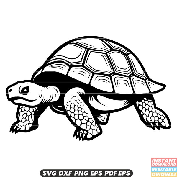 Tortoise SVG | Tortoise DXF | Tortoise PNG - Reptile Designs for Nature Enthusiasts - Instant Download