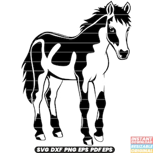 Poulain jeune cheval Poulain pouliche équin Animal mammifère Nature SVG DXF PNG coupe fichier téléchargement numérique instantané #2