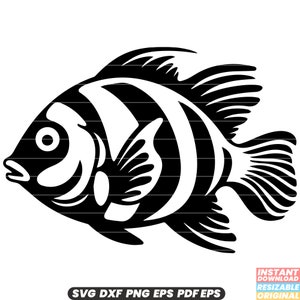 Clownfish Fish Marine Aquarium Coral Reef Underwater Wildlife SVG DXF PNG Cut File Digital Instant Download