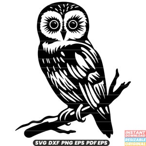 Bosuil vogel Wildlife nachtelijke gevederde roofdier Raptor Forest natuur SVG DXF PNG-bestand knippen digitale Instant Download