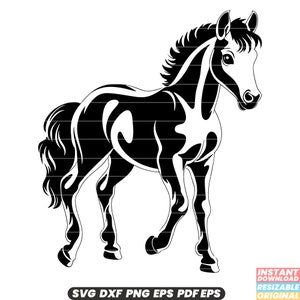 Poulain cheval poulain jeune animal étalon équin jument Mustang ranch faune Nature fichier coupe PNG DXF SVG
