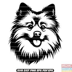 Keeshond SVG hondenras illustratie Keeshond Clipart pluizig Canine grafisch vriendelijk huisdier ontwerp harige vriend kunst DXF PNG-bestand knippen