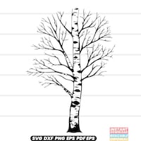 Premium Birch Tree Clipart & Vector Set - Birch Tree Clip Art, Birch ...
