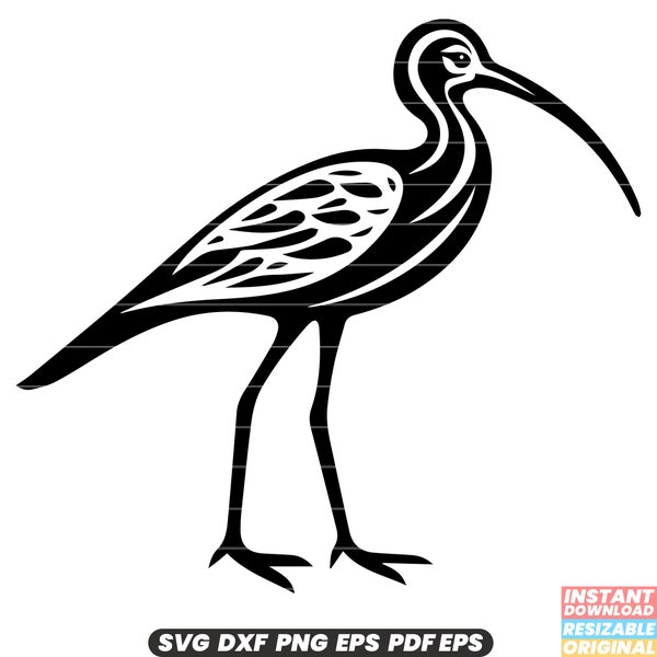 Curlew Bird Shorebird Wader Habitat Coastal Long-billed Wildlife Nature SVG DXF PNG Cut File Digital Instant Download