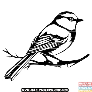Chapim-azul SVG, DXF, PNG, Arquivo de corte de pássaro de jardim encantador, Clipart de penas coloridas, Ilustração de pássaro canoro, Download instantâneo #2