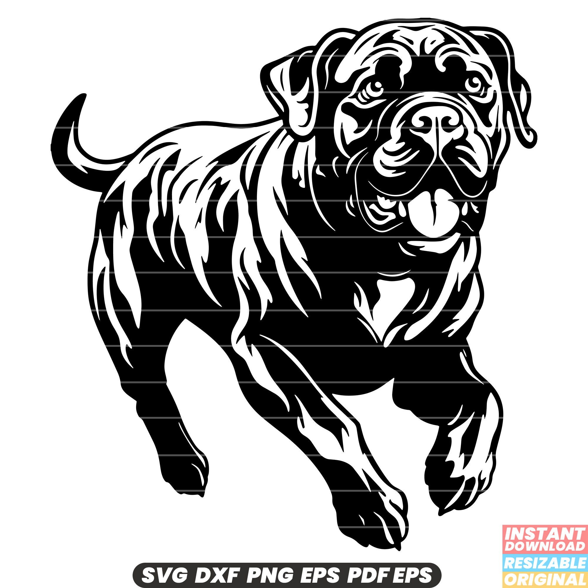 Cane Corso SVG, Cane Corso DXF, Cane Corso PNG: Majestic Dog Breed 
