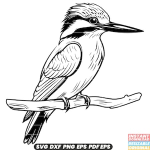 IJsvogel vogel Wildlife natuur kleurrijk verenkleed Aquatic Hunter vissen Avian Riverbank SVG DXF PNG-bestand knippen digitale Instant Download