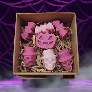 x8 Halloween Wachs schmilzt | Sojawachs schmilzt | Winterduft | Herbst Wachs Melts | 3 Designs | Herbst Dekoration | ......