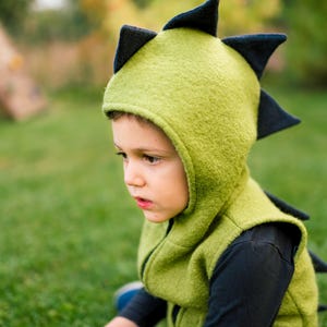 Chaleco de lana hervida con diseño de dinosaurio, varios colores, estilo jardín de infancia en el bosque, con cremallera y forro interior. Ropa de lana unisex para actividades al aire libre para niños. imagen 4