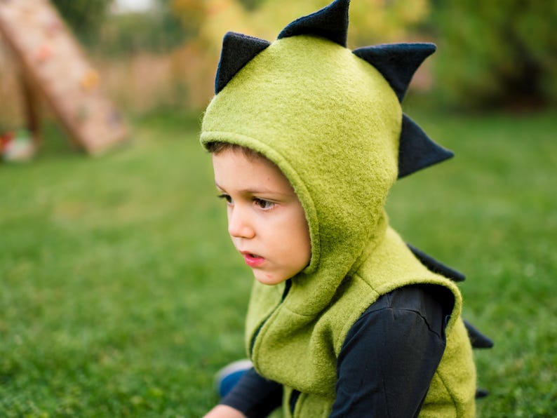 Chaleco de lana hervida con diseño de dinosaurio, varios colores, estilo jardín de infancia en el bosque, con cremallera y forro interior. Ropa de lana unisex para actividades al aire libre para niños. imagen 4