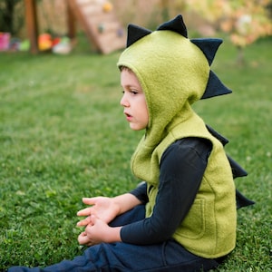 Chaleco de lana hervida con diseño de dinosaurio, varios colores, estilo jardín de infancia en el bosque, con cremallera y forro interior. Ropa de lana unisex para actividades al aire libre para niños. imagen 1
