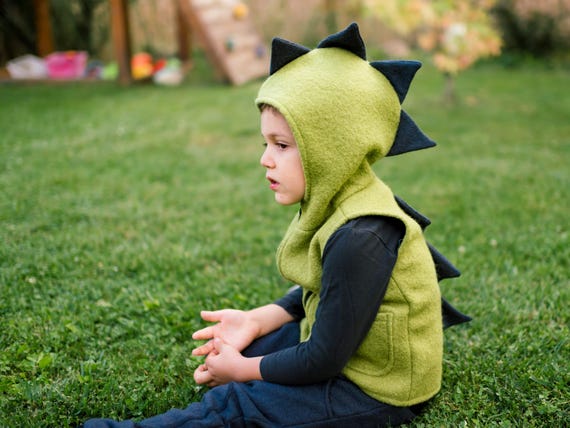 Boiled Wool Vest Dino, Different colors, Forest Kindergarden, With zipper and inner lining, Unisex Outdoor Wool Clothing for children