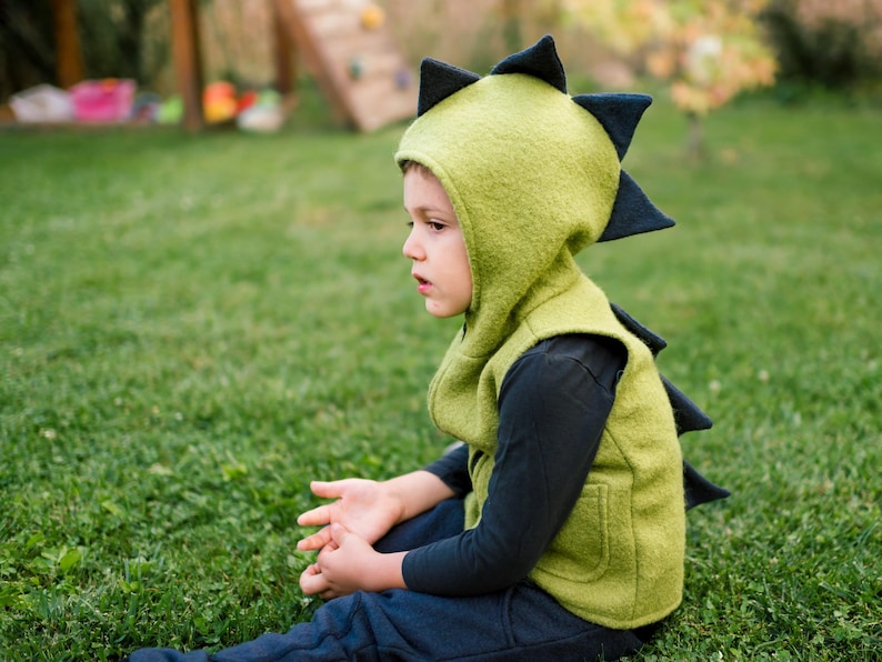 Chaleco de lana hervida con diseño de dinosaurio, varios colores, estilo jardín de infancia en el bosque, con cremallera y forro interior. Ropa de lana unisex para actividades al aire libre para niños. imagen 1