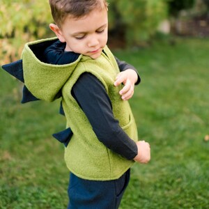 Chaleco de lana hervida con diseño de dinosaurio, varios colores, estilo jardín de infancia en el bosque, con cremallera y forro interior. Ropa de lana unisex para actividades al aire libre para niños. imagen 3