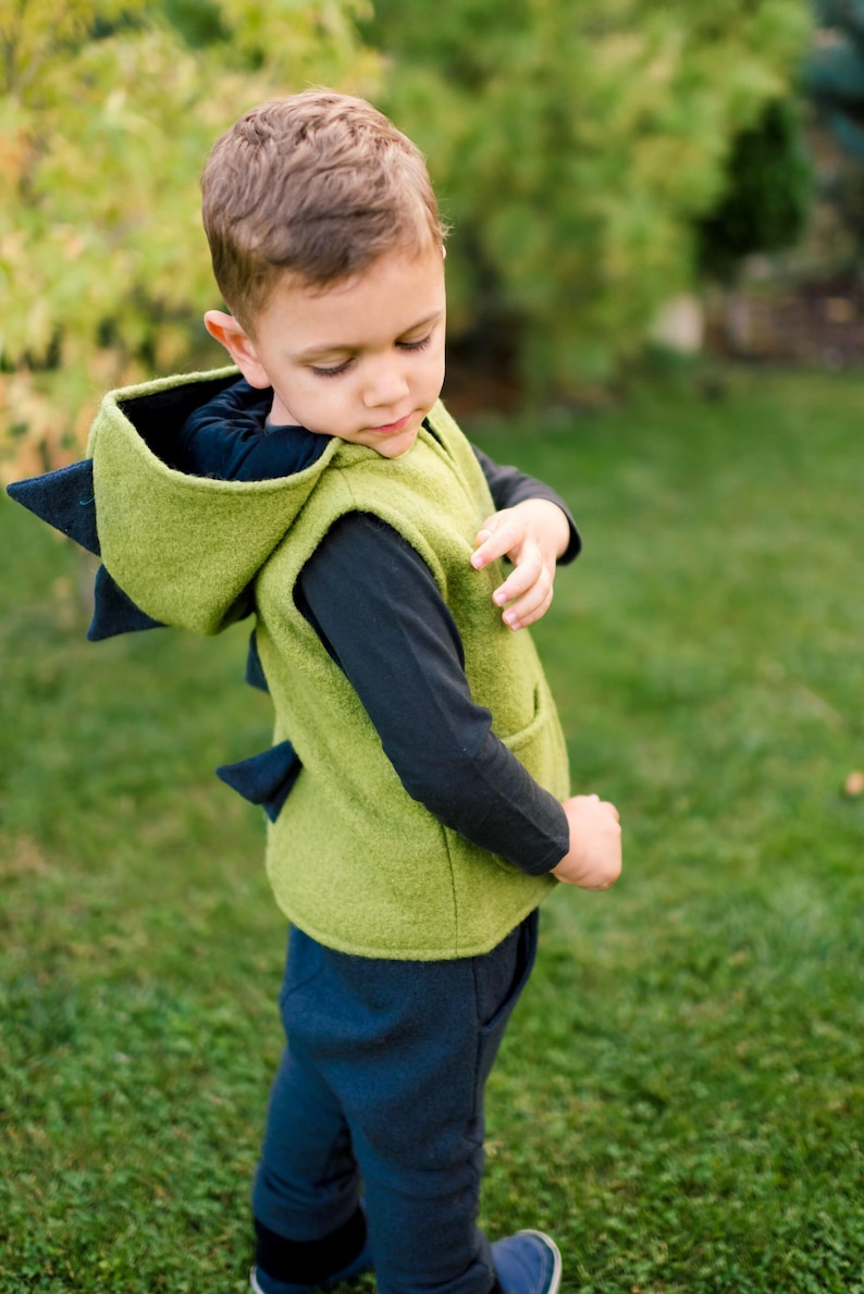 Chaleco de lana hervida con diseño de dinosaurio, varios colores, estilo jardín de infancia en el bosque, con cremallera y forro interior. Ropa de lana unisex para actividades al aire libre para niños. imagen 3