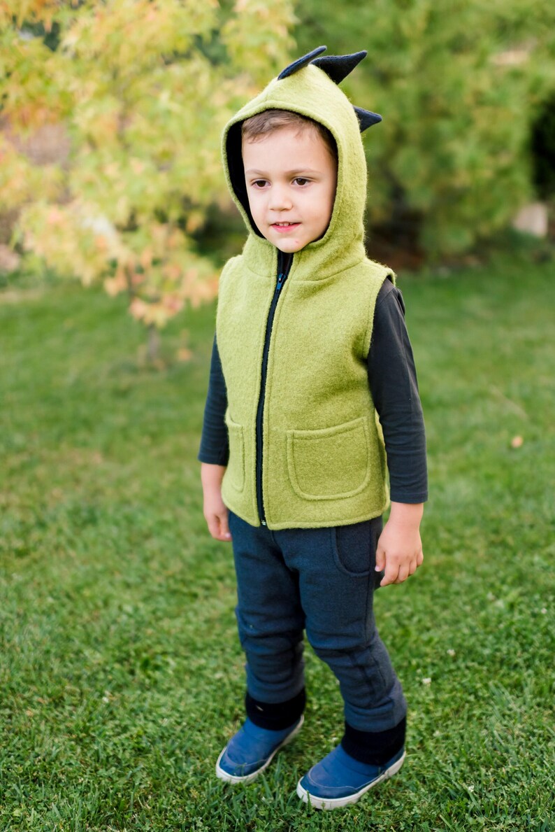 Chaleco de lana hervida con diseño de dinosaurio, varios colores, estilo jardín de infancia en el bosque, con cremallera y forro interior. Ropa de lana unisex para actividades al aire libre para niños. imagen 6