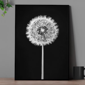 Minimalist Dandelion Art Print: Black & White Close-Up (Digital Download)